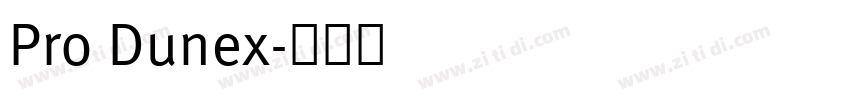 Pro Dunex字体转换